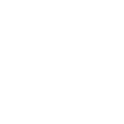 feature-item-2